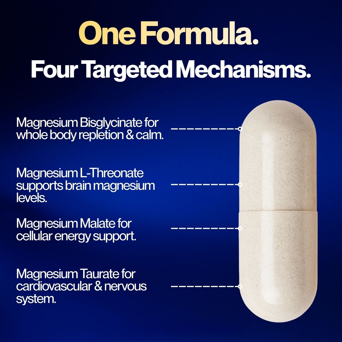 2x Gold Seal Magnesium™